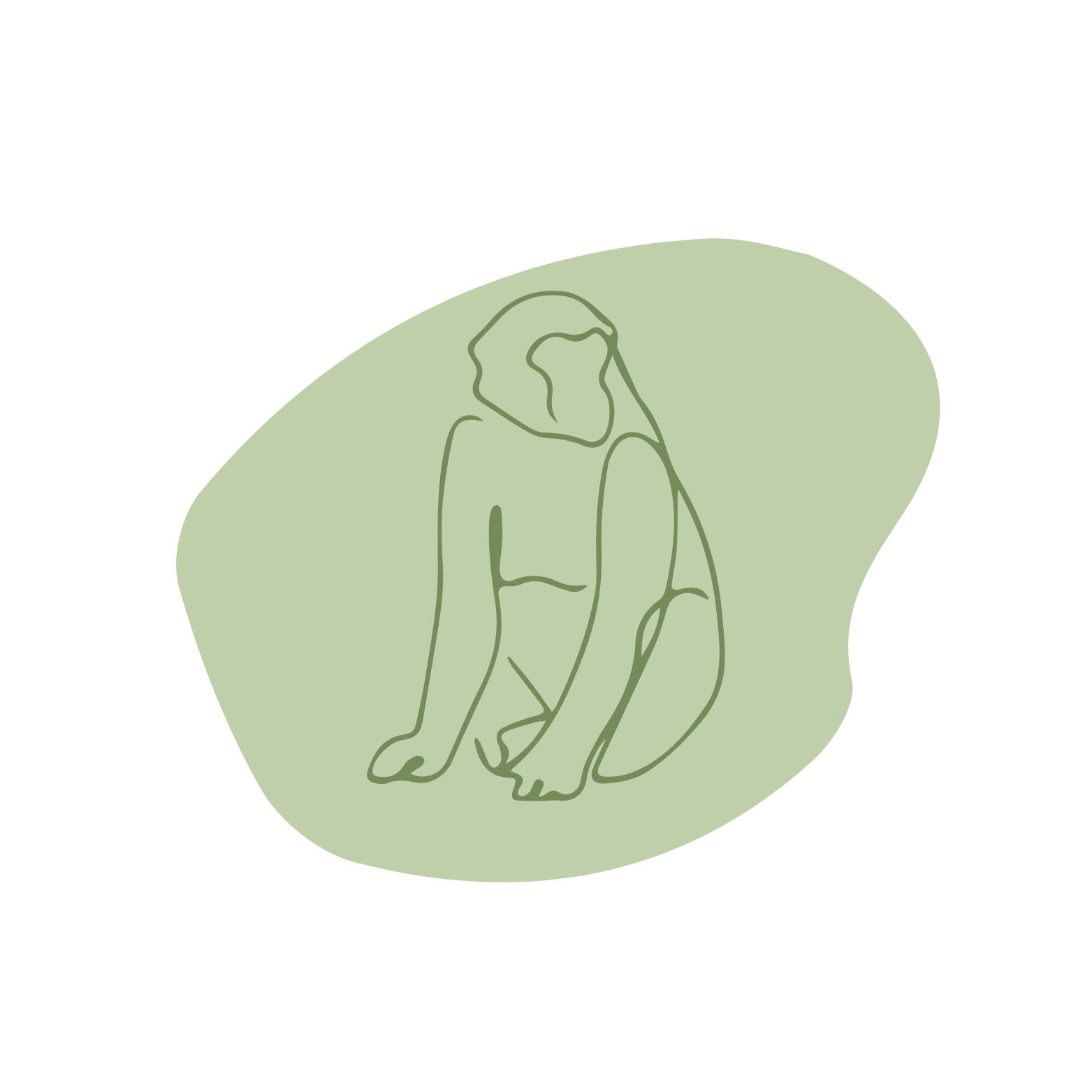 O Nome e o Logo